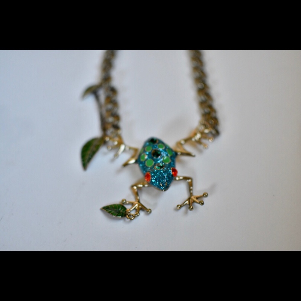 Betsey Johnson Frog Necklace
